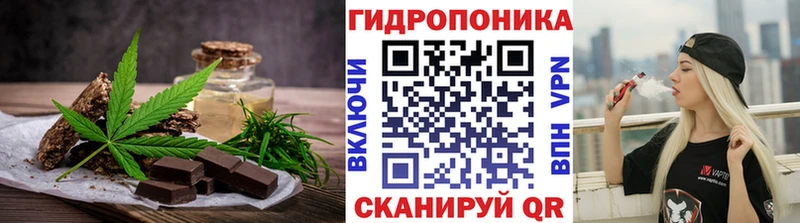 купить закладку  Каменногорск  Печенье с ТГК конопля 