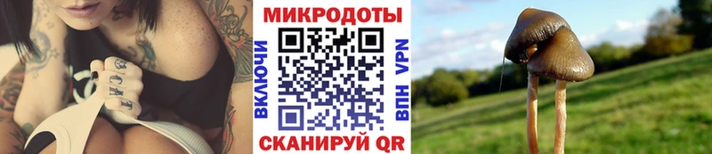 Псилоцибиновые грибы мицелий  Каменногорск 